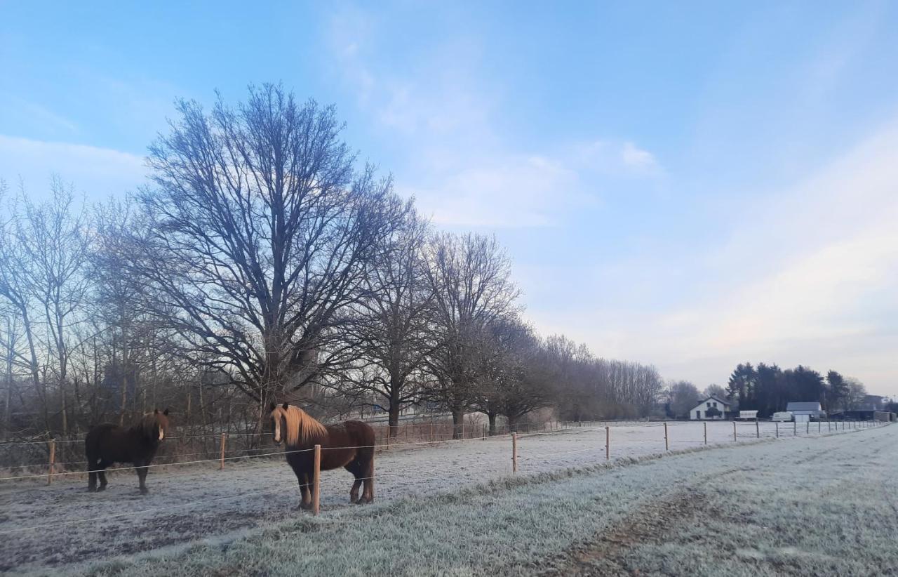 Gastenverblijf De Vense Weide Venlo Buitenkant foto